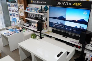 BRAVIA