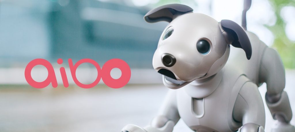 aibo ”オーナーになるのは！｜6月7日(木)までの登録による aibo特別