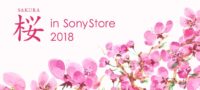 桜 in SonyStore 2018
