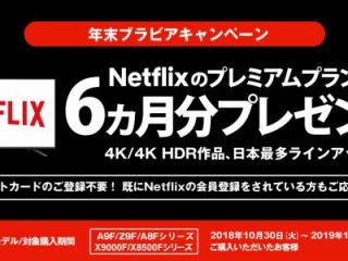 お知らせ|4Kブラビア購入者限定! Netflixのプレミアムプランを6ヵ月分プレゼント!