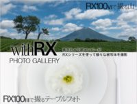 RX Cyber-shot × SPECIAL CONTENTS