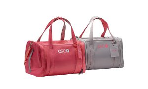 SONY aibo carry bag CC-AIBO-BAG GRAY 2WAY  plenty of storage JAPAN Limited F/S 