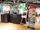ソニーストアでおすすめの商品3点セット