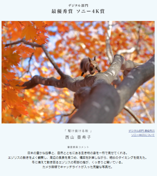 第38回いつまでも守り続けたい「日本の自然」写真コンテスト