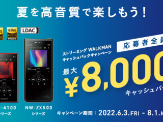 オーディオ機器 ポータブルプレーヤー ソニー ウォークマン NW-S310K シリーズ 初音ミク モデル ポータブル 