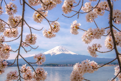 TAKASHIの写真講座 河口湖で桜と富士山撮影