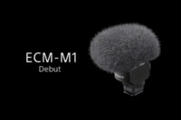 ECM-M1