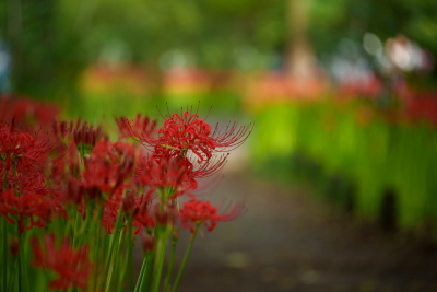 高橋良典の写真講座