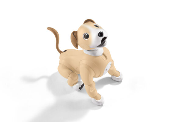 aibo きなこ エディション