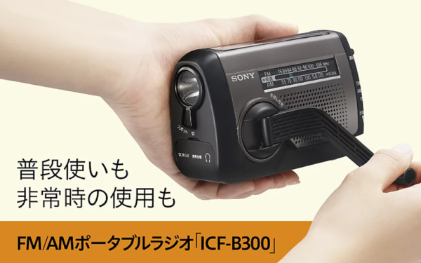 ICF-B300