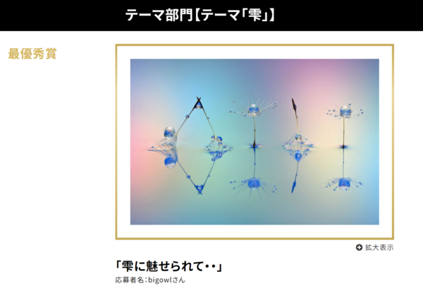 月例オープンフォトコンテスト第42回結果発表