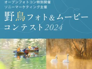 野鳥フォト＆ムービ―コンテスト2024