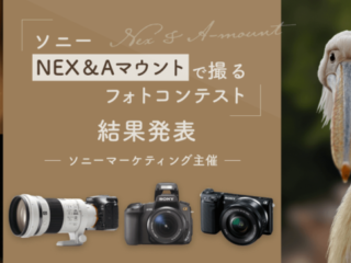 ソニーNEX・Aマウントで撮るフォトコンテスト 受賞作品発表