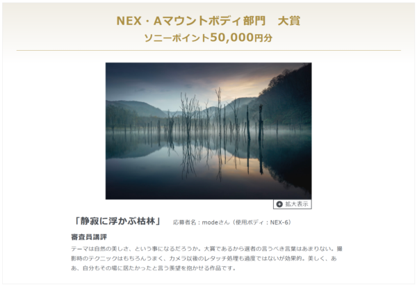 ソニーNEX・Aマウントで撮るフォトコンテスト 受賞作品発表