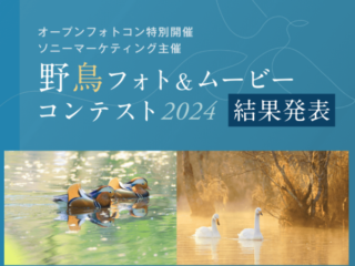 野鳥フォト＆ムービーコンテスト2024 受賞作品発表