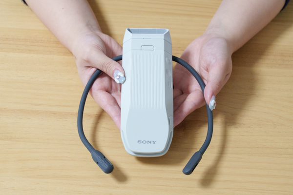 REON POCKET PRO レポート