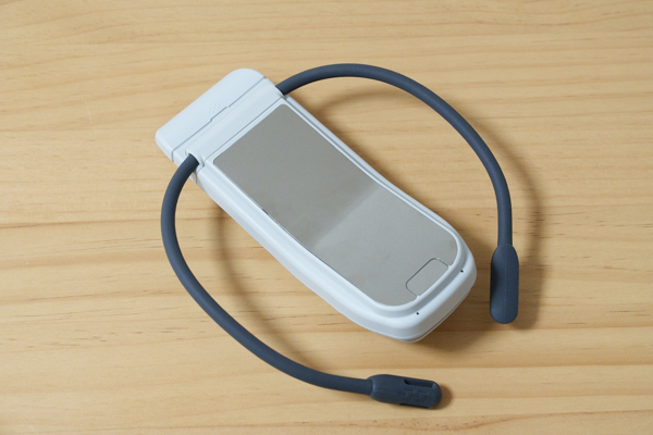 REON POCKET PRO レポート