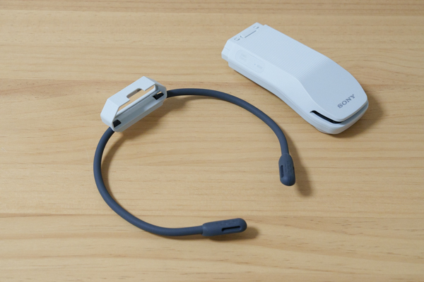 REON POCKET PRO レポート