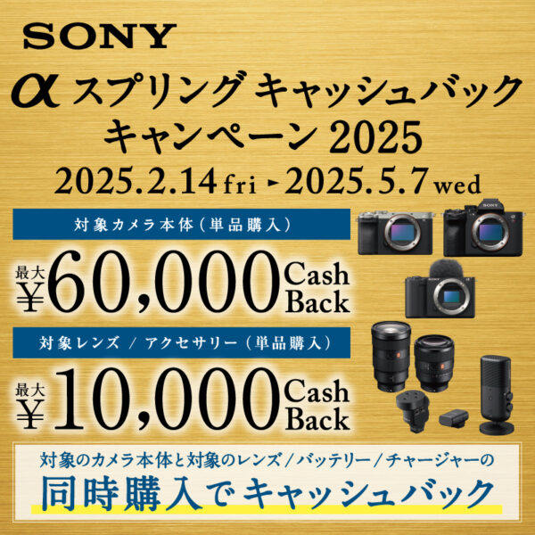 2025年αスプリングキャッシュバックキャンペーン