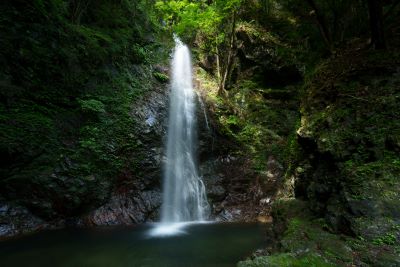 高橋良典の写真講座 四季を撮る　ー初夏ー