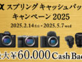 2025年αスプリングキャッシュバックキャンペーン