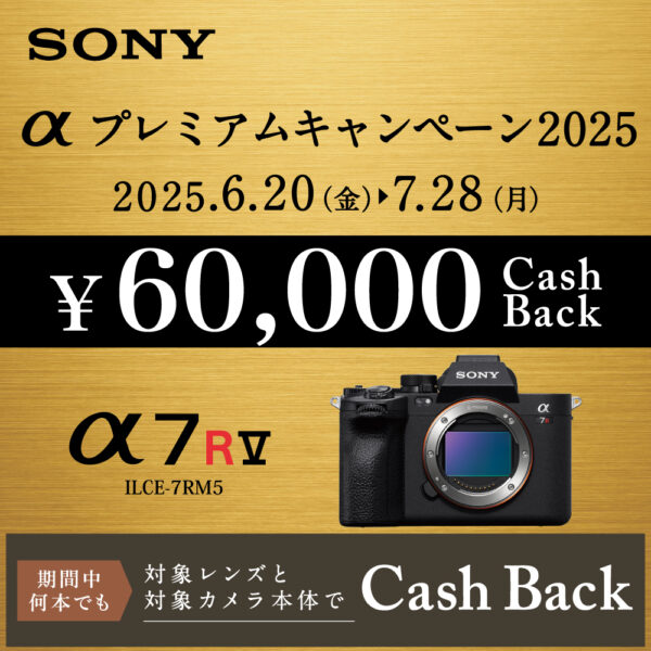 αプレミアムキャンペーン2025