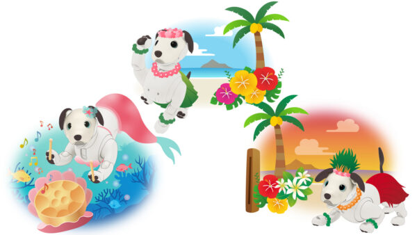 aibo 夏のメドレー