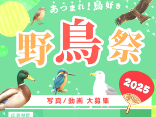 あつまれ！鳥好き 野鳥祭2025