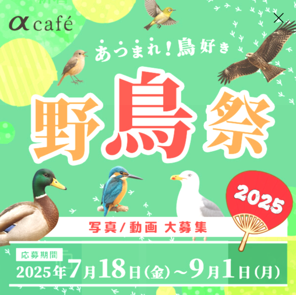 あつまれ！鳥好き 野鳥祭2025