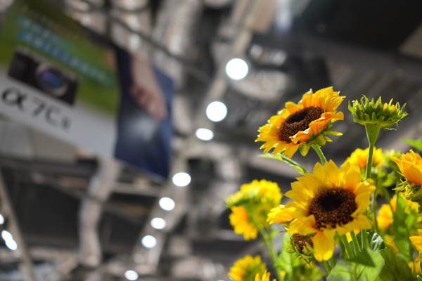 RX1R III