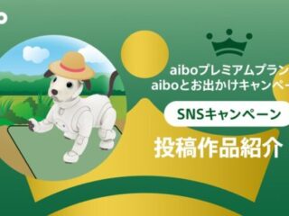 「aiboとお出かけ」キャンペーン