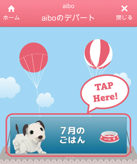 aiboのごはん