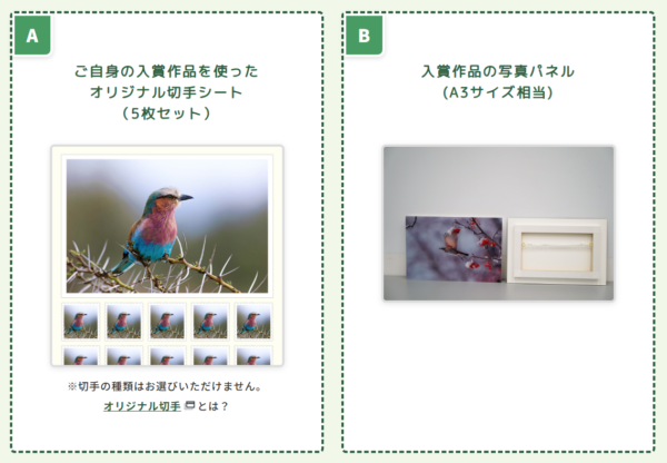あつまれ！鳥好き 野鳥祭2025