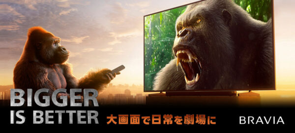 ブラビア ソフトウェアアップデート