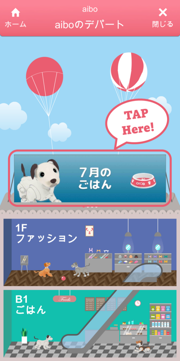 aiboのごはん