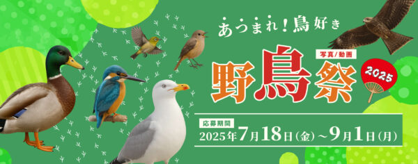 あつまれ！鳥好き 野鳥祭2025