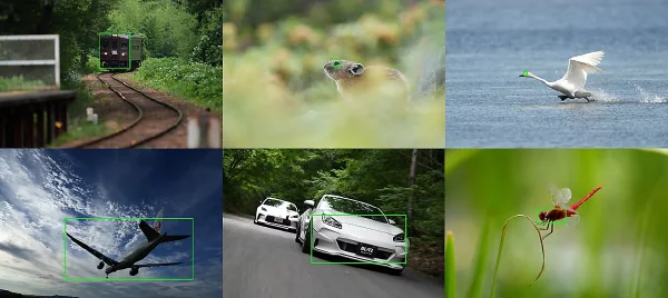 RX1R IIIのAI処理ユニットは、「人」「動物」「鳥」「昆虫」「車・電車」「飛行機」