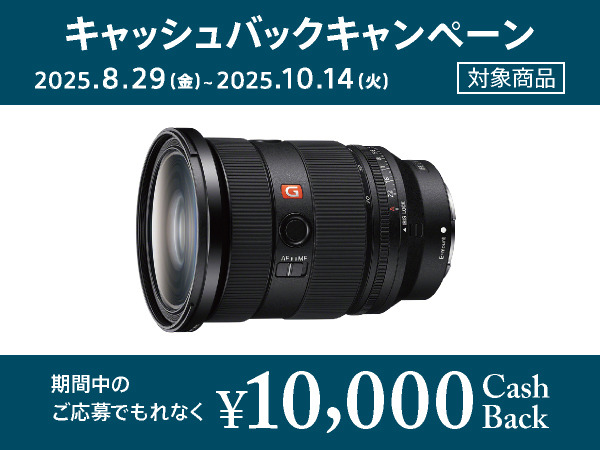 SEL2470GM2