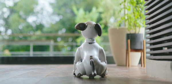 aibo 里親プログラム