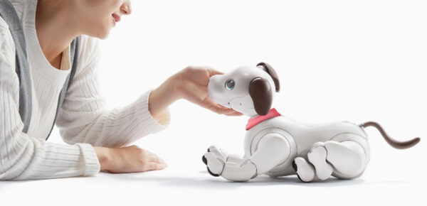 aibo 里親プログラム