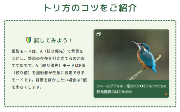 あつまれ！鳥好き 野鳥祭2025 結果発表