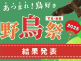 あつまれ！鳥好き 野鳥祭2025 結果発表
