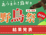 あつまれ！鳥好き 野鳥祭2025 結果発表