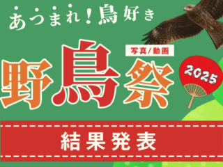 あつまれ！鳥好き 野鳥祭2025 結果発表