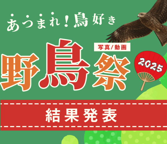 あつまれ！鳥好き 野鳥祭2025 結果発表