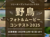 野鳥フォト＆ムービーコンテスト2025