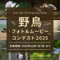 野鳥フォト＆ムービーコンテスト2025