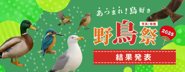 あつまれ！鳥好き 野鳥祭2025 結果発表
