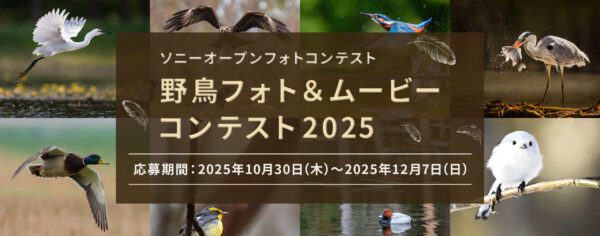 野鳥フォト&ムービーコンテスト2025