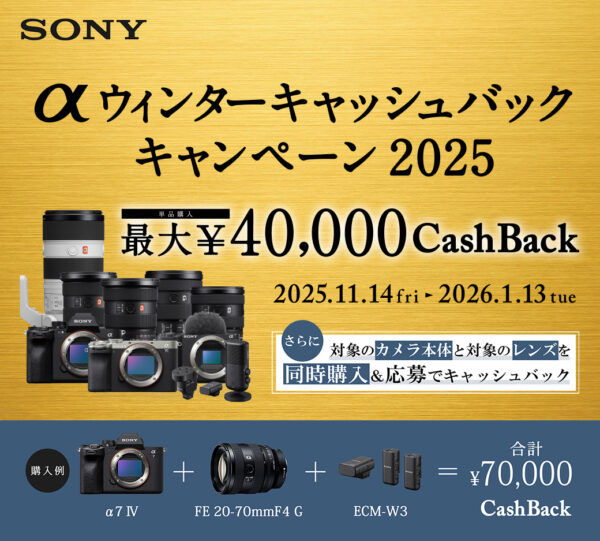 αウィンターキャッシュバックキャンペーン2025